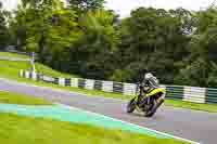 Advanced Group Yellow Bikes